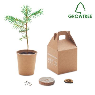 Image of Growtreeâ„¢ Pine Tree Set